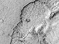 Elephant on Mars closeup.jpg