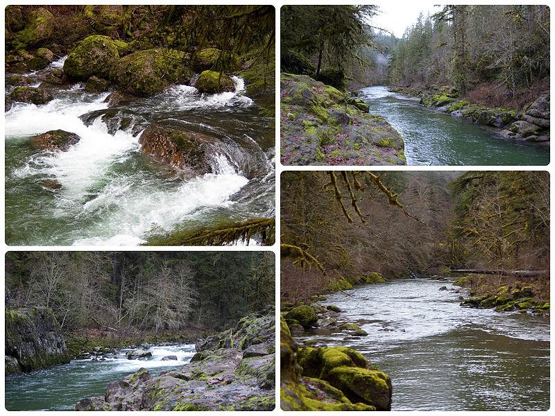 File:Elkhorn Creek Wild and Scenic River (10873841246).jpg