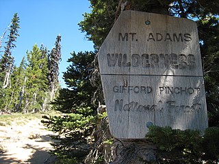 <span class="mw-page-title-main">Mount Adams Wilderness</span>