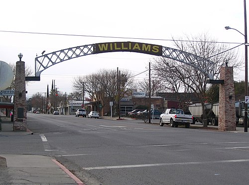 Williams chiropractor