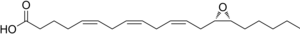 Estructura química del ácido 14,15-epoxieicosatrienoico, considerado un eicosanoide.