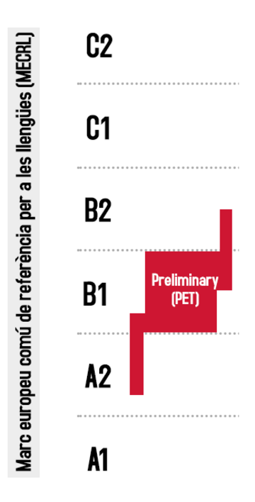 B1 Preliminary