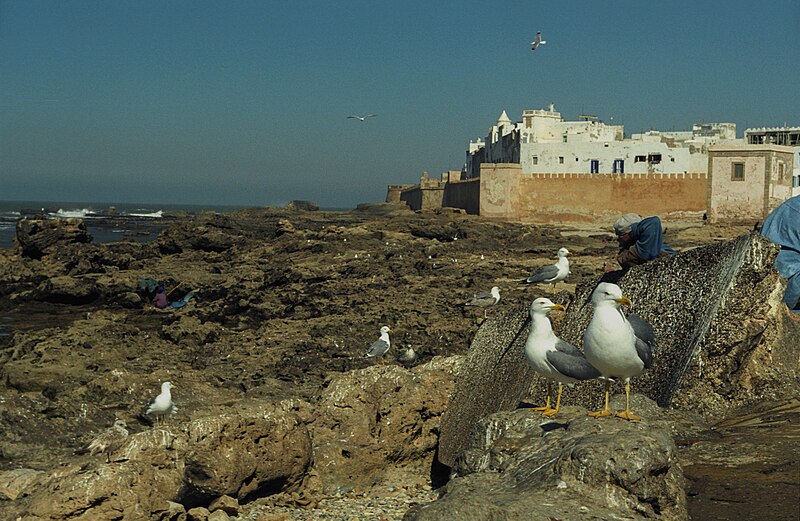 File:Essaouira(js)2.jpg