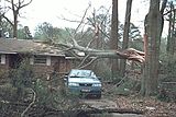 E/F0 damage: The only significant damage to structures in this picture was caused by falling tree branches. Even though well-built structures are typically unscathed by E/F0 tornadoes, falling trees and tree branches can injure and kill people, even inside a sturdy structure. Between 35% to 40% of all annual tornadoes in the U.S. are E/F0 tornadoes.