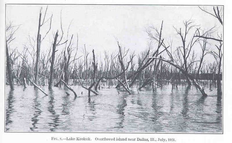 File:FMIB 33627 Lake Keokuk.jpeg