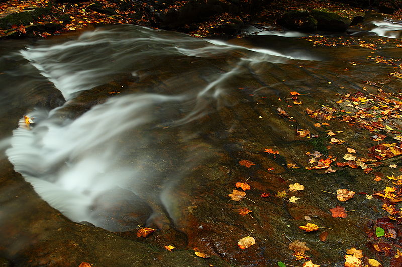 File:Fall-foliage-creek-leaves-stream - West Virginia - ForestWander.jpg