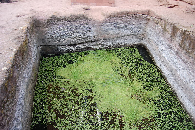 File:Fertility pool at Bet Maryam (5497868526).jpg