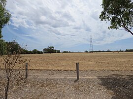 Field in West Coolup, Western Australia, December 2023.jpg