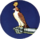 Fighter Squadron 142 (US Navy) insignia c1955.png