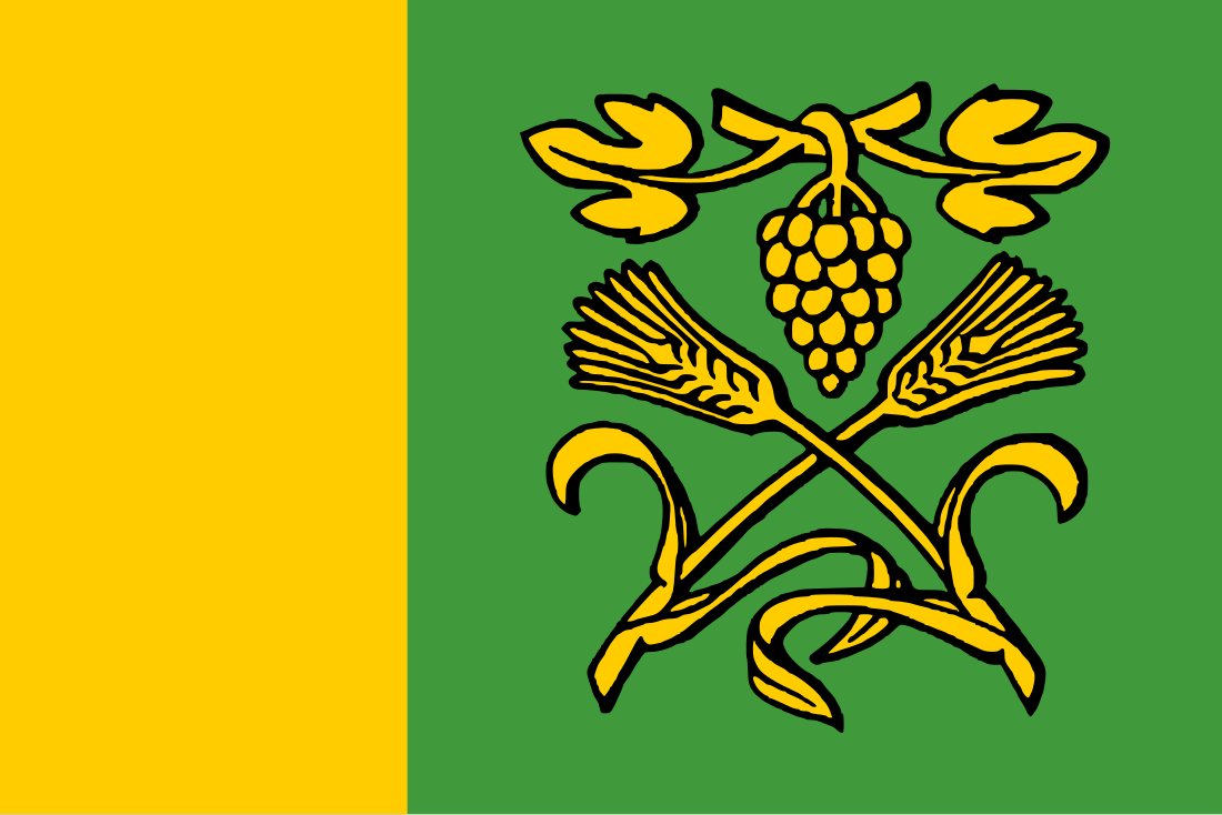 File:Flag of A Teixeira.svg