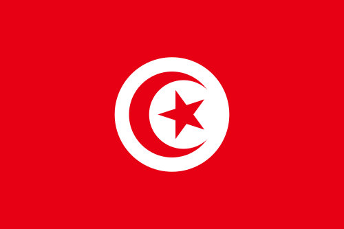 Tunesien Flagge Fahne 90x150 cm Neu WM 2018-Russland Tunisia  Länder Spiele 