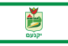 Bandera de Yokneam Illit