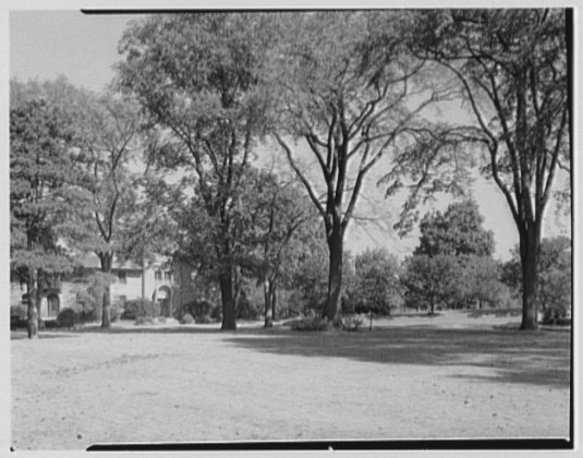 File:Flushing Cemetery, Flushing, Long Island, New York. LOC gsc.5a19274.tif