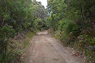 Flinders Bay Branch Railway