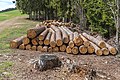 * Nomination Woodpiles at the forest road to the Gauerstall in Nussberg, Frauenstein, Carinthia, Austria -- Johann Jaritz 02:44, 29 April 2020 (UTC) * Promotion Good quality. --Bgag 03:27, 29 April 2020 (UTC)