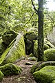 Günterfelsen bei Furtwangen im Schwarzwald