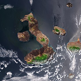 Ynysoedd Y Galapagos