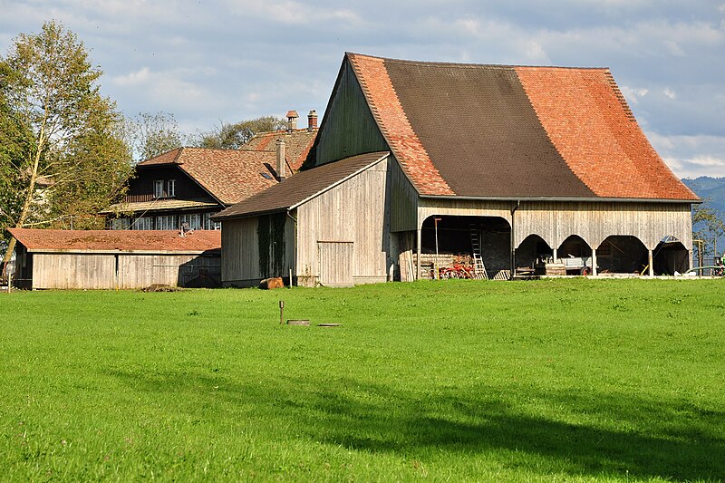 File:Gasthaus-Gutsbetrieb Insel Ufenau 2011-07-25 17-59-16 ShiftN.jpg