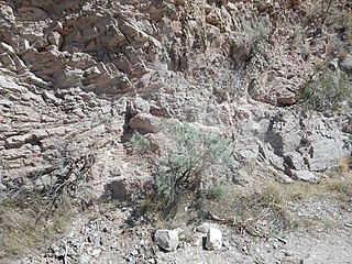 <span class="mw-page-title-main">Glenwoody Formation</span>