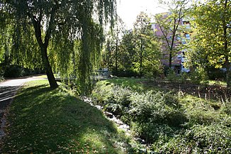 Der Gorbitzbach in renaturiertem Zustand, Am Gorbitzbach