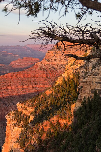File:Grand Canyon (Arizona, USA), South Rim nahe Tusayan -- 2012 -- 6079.jpg