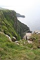 Gully in the Cliffs - geograph.org.uk - 3025850.jpg