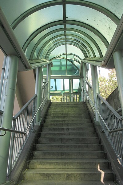 File:HK 香港南區 Southern District 薄扶林道 Pokfulam Road 瑪麗醫院 Queen Mary Hospital footbridge escalators January 2019 IX2 02.jpg