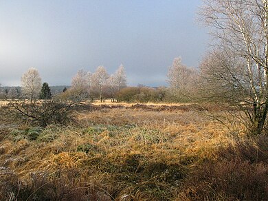 Winter landscape in rural western Europe