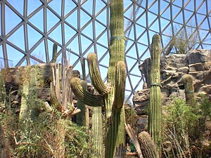 The Desert Dome at Omaha's Henry Doorly Zoo Henry Doorly Zoo desert.jpg