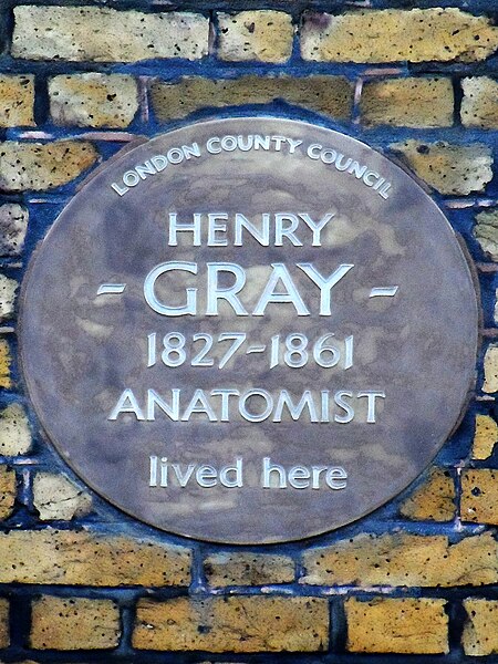 File:Henry Gray 1827-1861 anatomist lived here.jpg