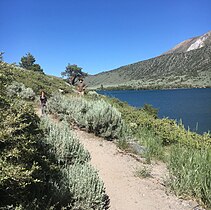 Hiking trail on north side of lake