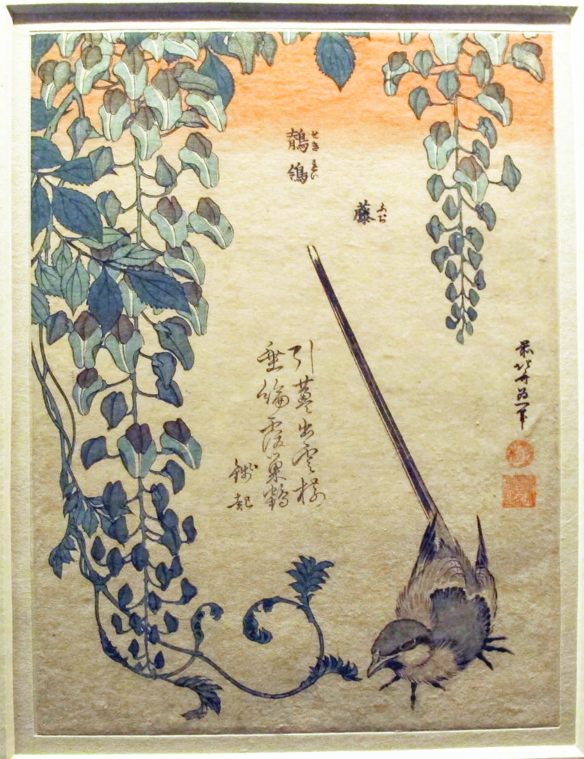Piccoli Fiori.File Hokusai Serie Dei Piccoli Fiori Motacilla E Glicine 1833