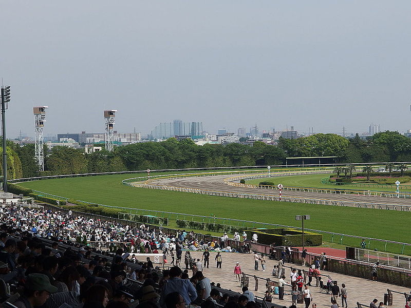 File:Horse racing @ Tokyo Race Course @ Fuchu (13934256229).jpg