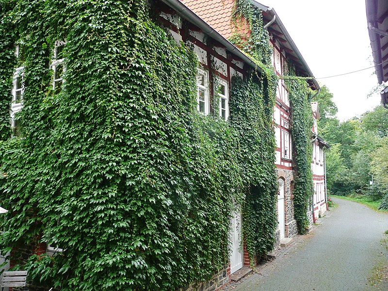 File:Hotel Hohlebach Mühle - panoramio.jpg