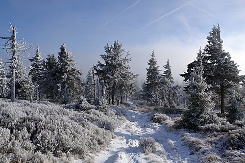 Czech Republic - Hrubý Jeseník in December 2019