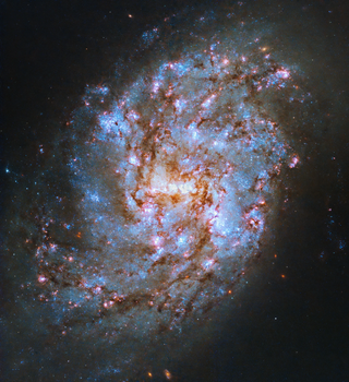 <span class="mw-page-title-main">NGC 1087</span> Galaxy in the constellation Cetus