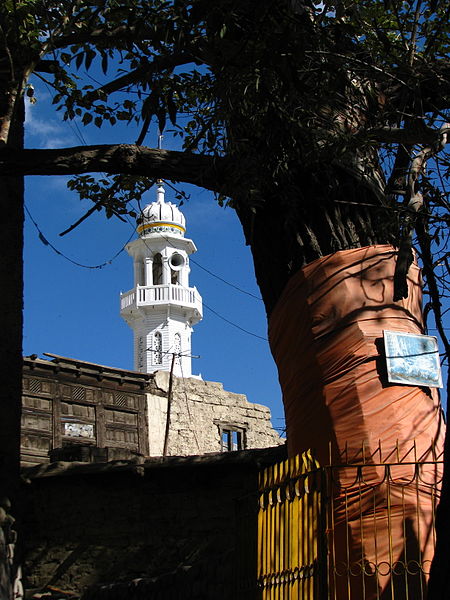 File:India - Ladakh - Leh - 025 - sacred tree and Jamia Masjid (3843227518).jpg