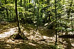 Hallstatt burial mound group