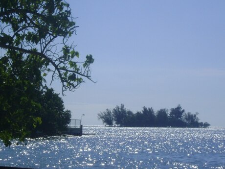 Isla de Ratones (Cabo Rojo, Puerto Rico)