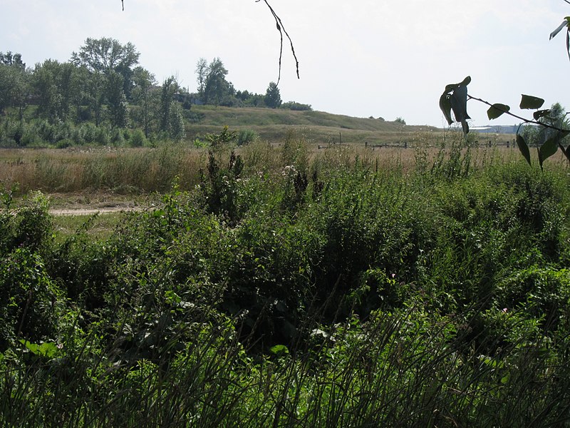 File:Ivanovo bumps - panoramio.jpg