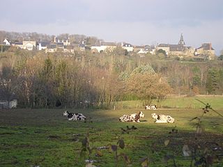 <span class="mw-page-title-main">La Jaille-Yvon</span> Commune in Pays de la Loire, France