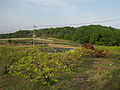 黒川東農村広場 Kurokawa-Azuma farm land.