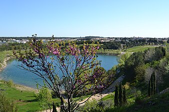 Vue générale du lac du Crès.