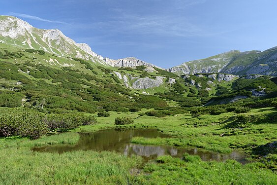 Lacke im Goldbachtal südwestlich des Hochmölbings, Totes Gebirge, Österreich. Fotograf: User:Tigerente