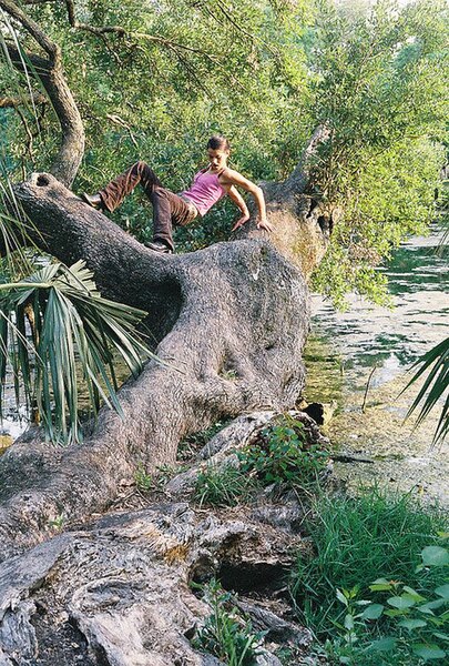 File:Lady on tree City Park.jpg