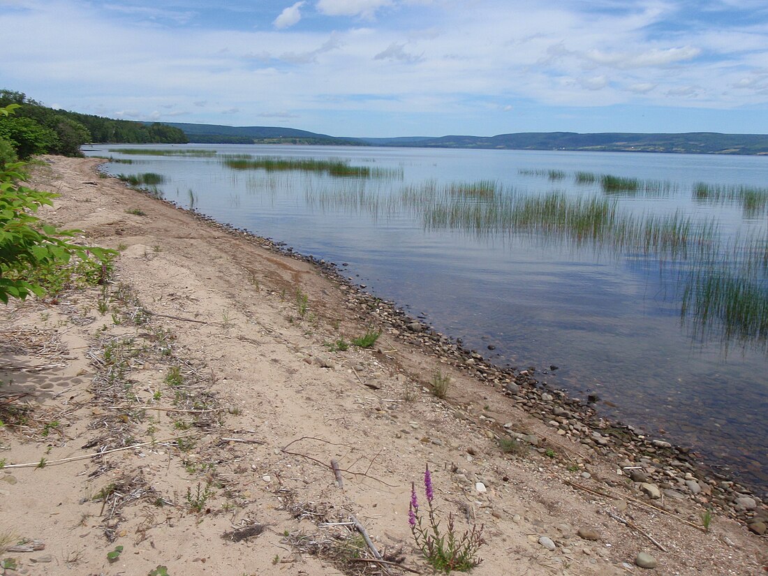 Lake Ainslie