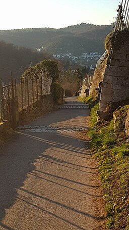 Schimmelhüttenweg in Stuttgart