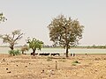 Vignette pour Lac de Madarounfa