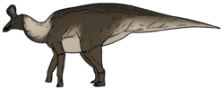 Thumbnail for Adynomosaurus