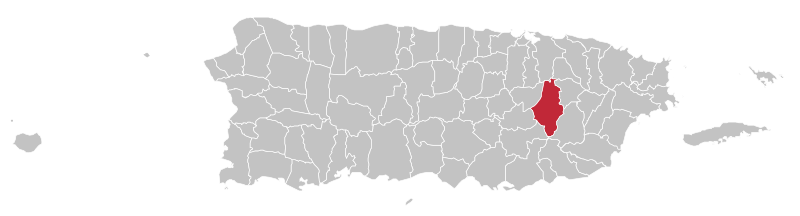File:Locator-map-Puerto-Rico-Caguas.svg